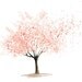 Cherry Tree  Print  from my original watercolor painting 10x8 inch