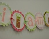 I am 1 Highchair Banner - pinks and greens Il_170x135