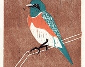 BLUEBIRD hand pulled hand carved linocut wood block print, blue, orange, black, brown, branch, 5 x 7, oil paint, feather