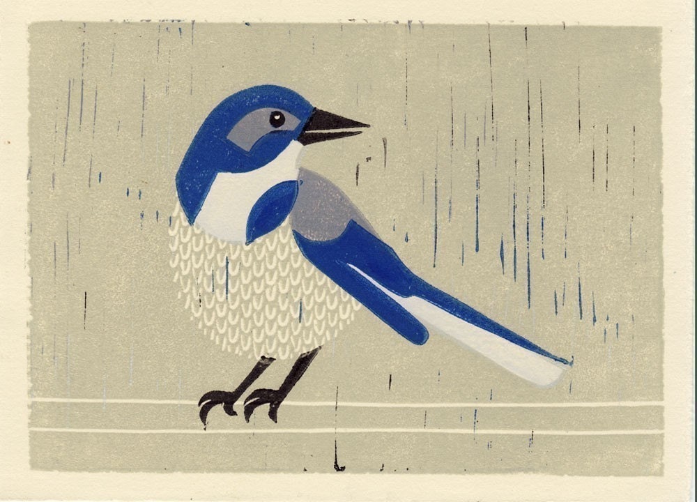 WESTERN SCRUBJAY handpulled linocut block print