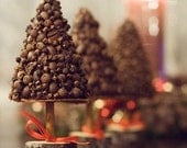 Christmas tree - scented fir tree - Christmas  topiary - Christmas gift