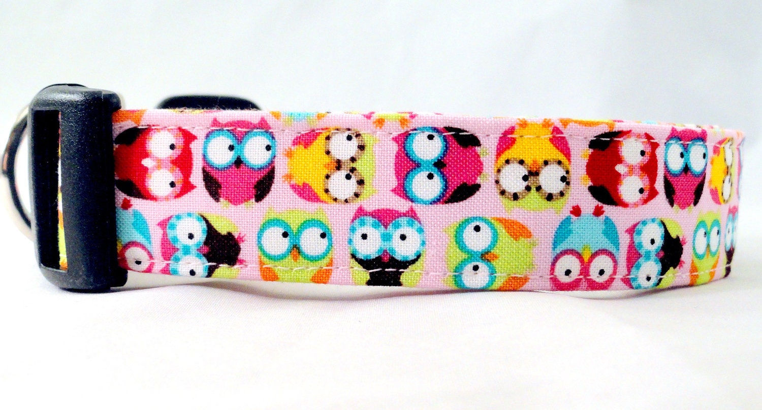 Awesome Hoot Owls on Pink Dog Collar