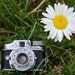 Daisy and Eye - Vintage Camera Photograph - 6x8 Nature Print