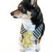 Dog tie and shirt collar- Mustard print and gingham