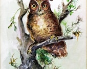 Package of 6 Blank Note Cards, Owl in a Tree