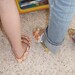 PDF Sewing Pattern - Mary Jane Flats Pattern Set newborn to women's size 11.