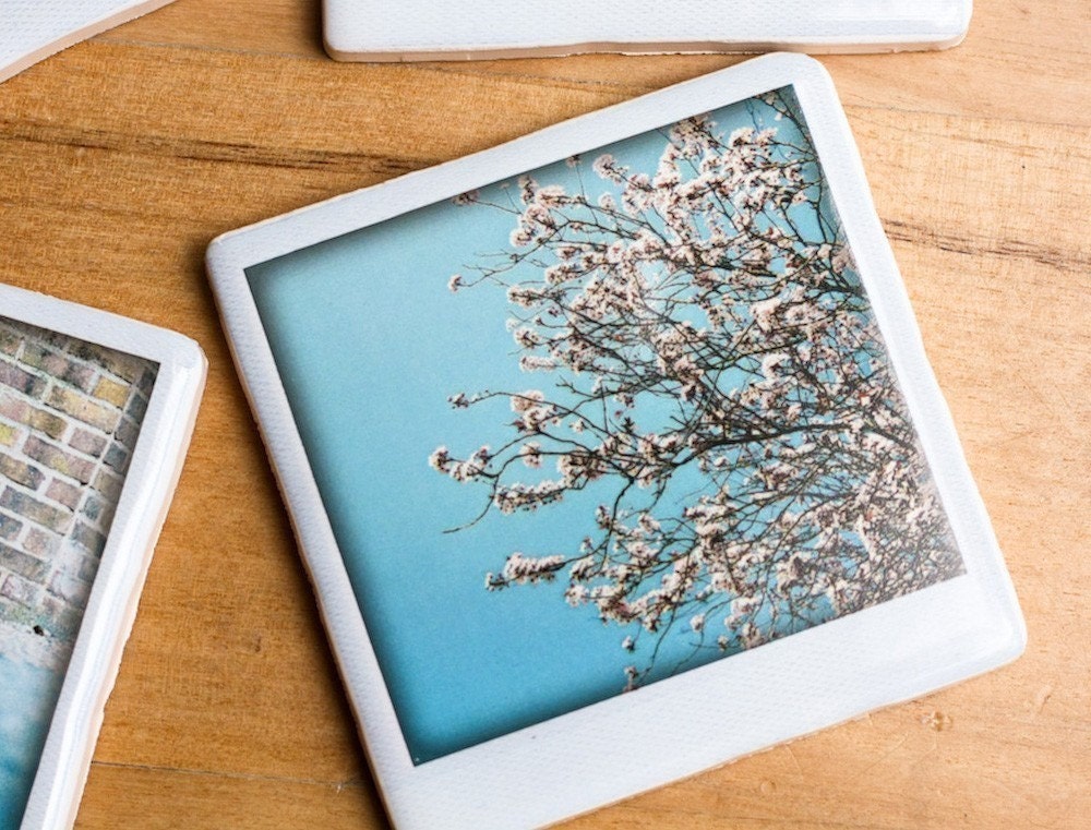 Polaroid Coaster - Cherry Blossoms