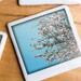 Polaroid Coaster - Cherry Blossoms