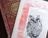 Owl Print Story Keepers Owl Limited Edition Print On Vintage Book Page