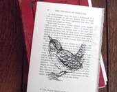 Gocco Print Pretty Wren Wonders of Bird Life  Limited Edition Book Print