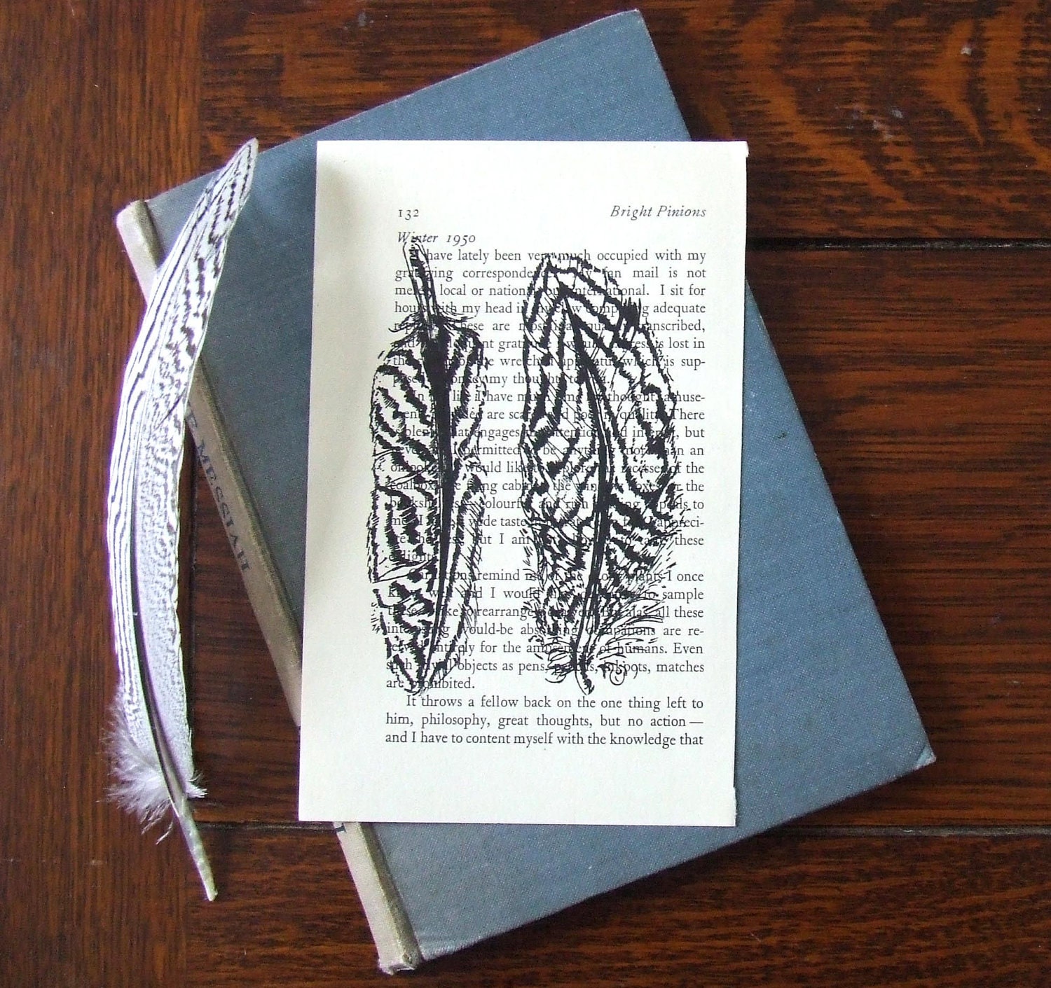 Bright Pinions Feathers Gocco Print on Vintage Book Page