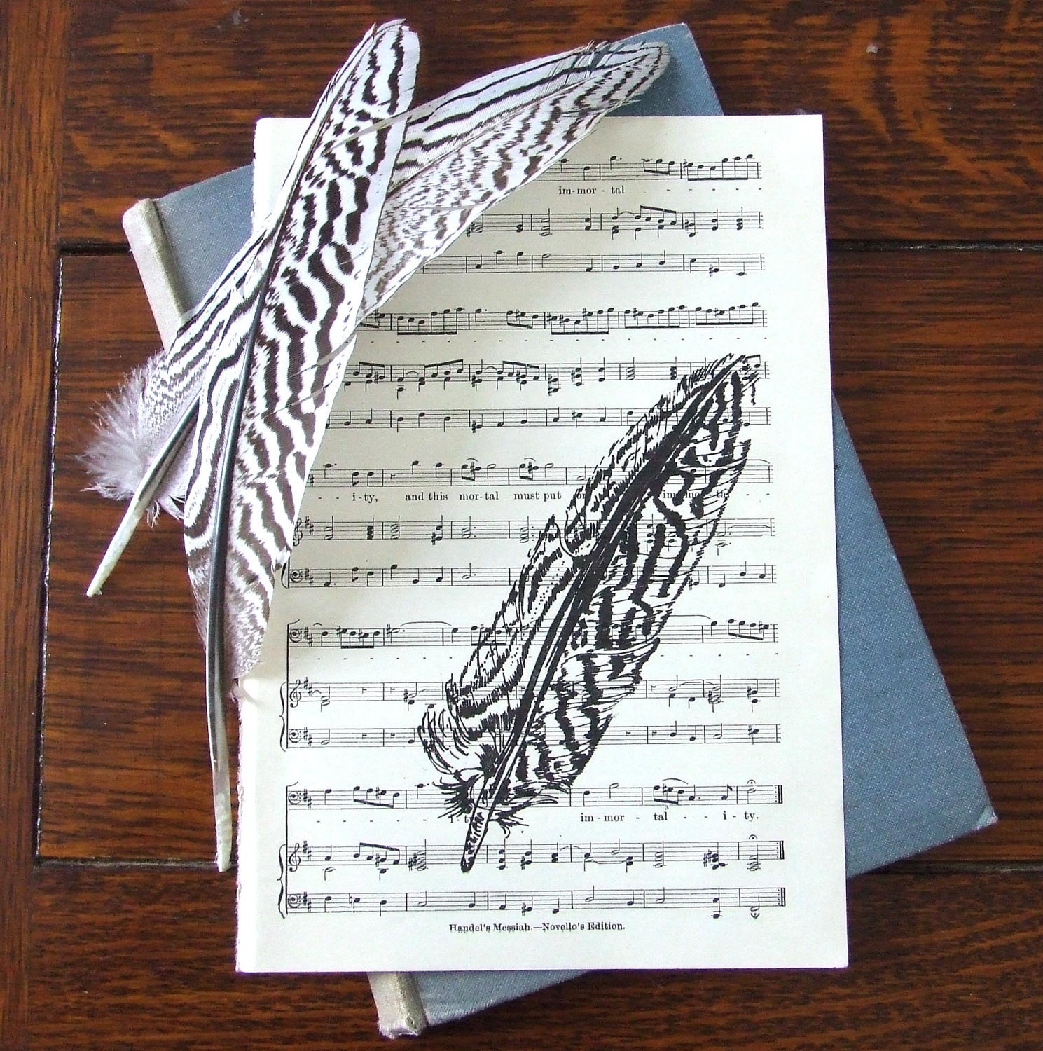 Musical Feather Silver Wing Pheasant Feather Gocco Music Print