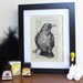 Gocco Book Print Raven Wonders of Bird Life