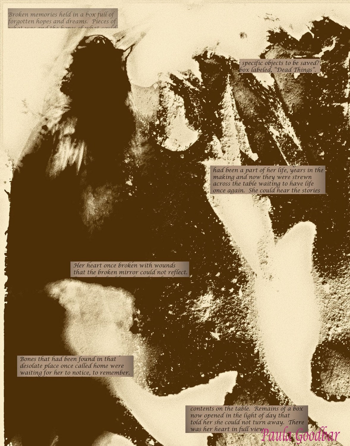 Crow in Sepia Abstract with Prose - 11"x14" Archival Photographic Print
