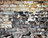 Wall of Silence  - 12x8 inch Pearl Finish Fine Art Photo Print - Deteriorated Surface Series