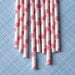 Pink Mix Paper Straws with DIY Flags - Pink Dots and Stripes (24)
