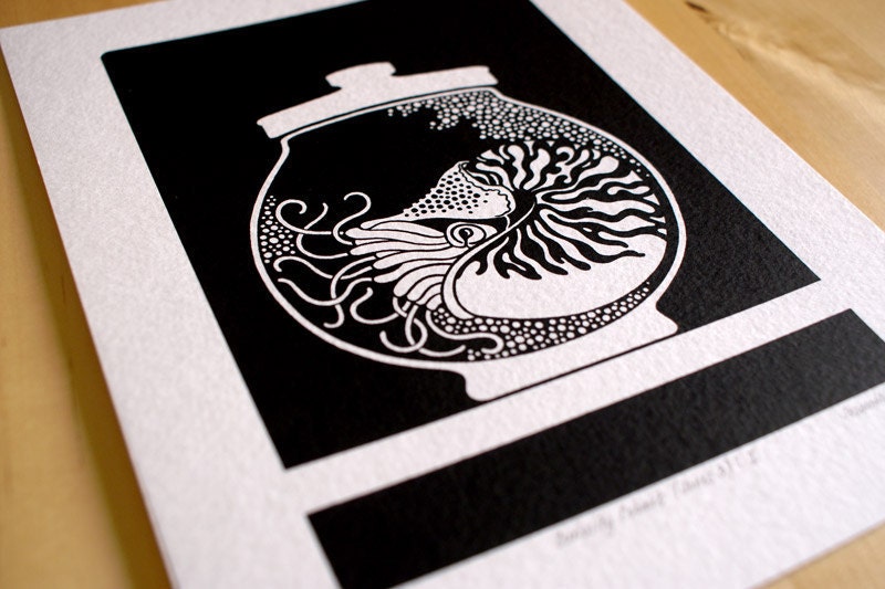 Curiosity Cabinet Series 3, No. 1 - Limited Edition Screenprint (Nautilus)