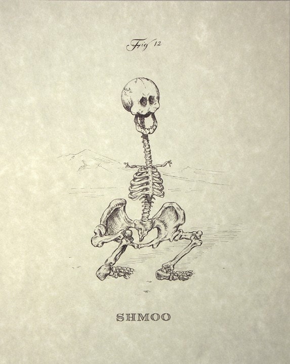 Shmoo Skeleton Print 8x10