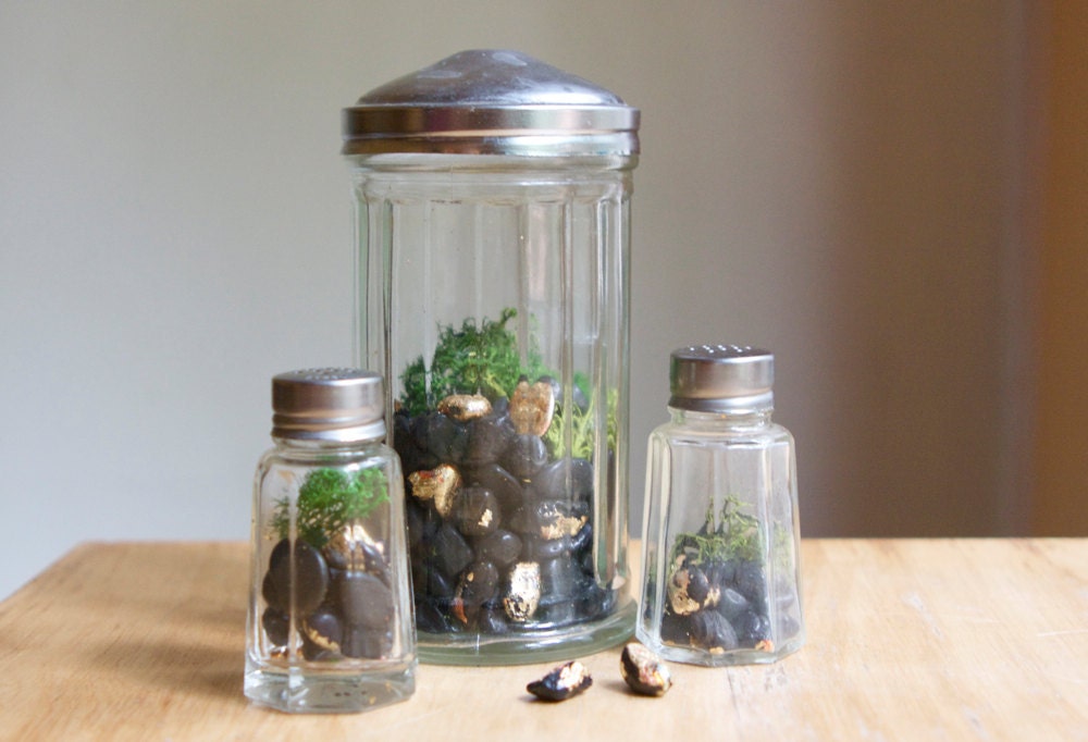 Three Terrariums in Vintage Containers, Pixie Homes