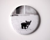 Baby French Bulldog  - 2.25" Magnet - BucktoothedBunny