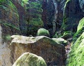 N A T U R A - Nature Landscape Giclee Print by Mina Georgescu 24x18
