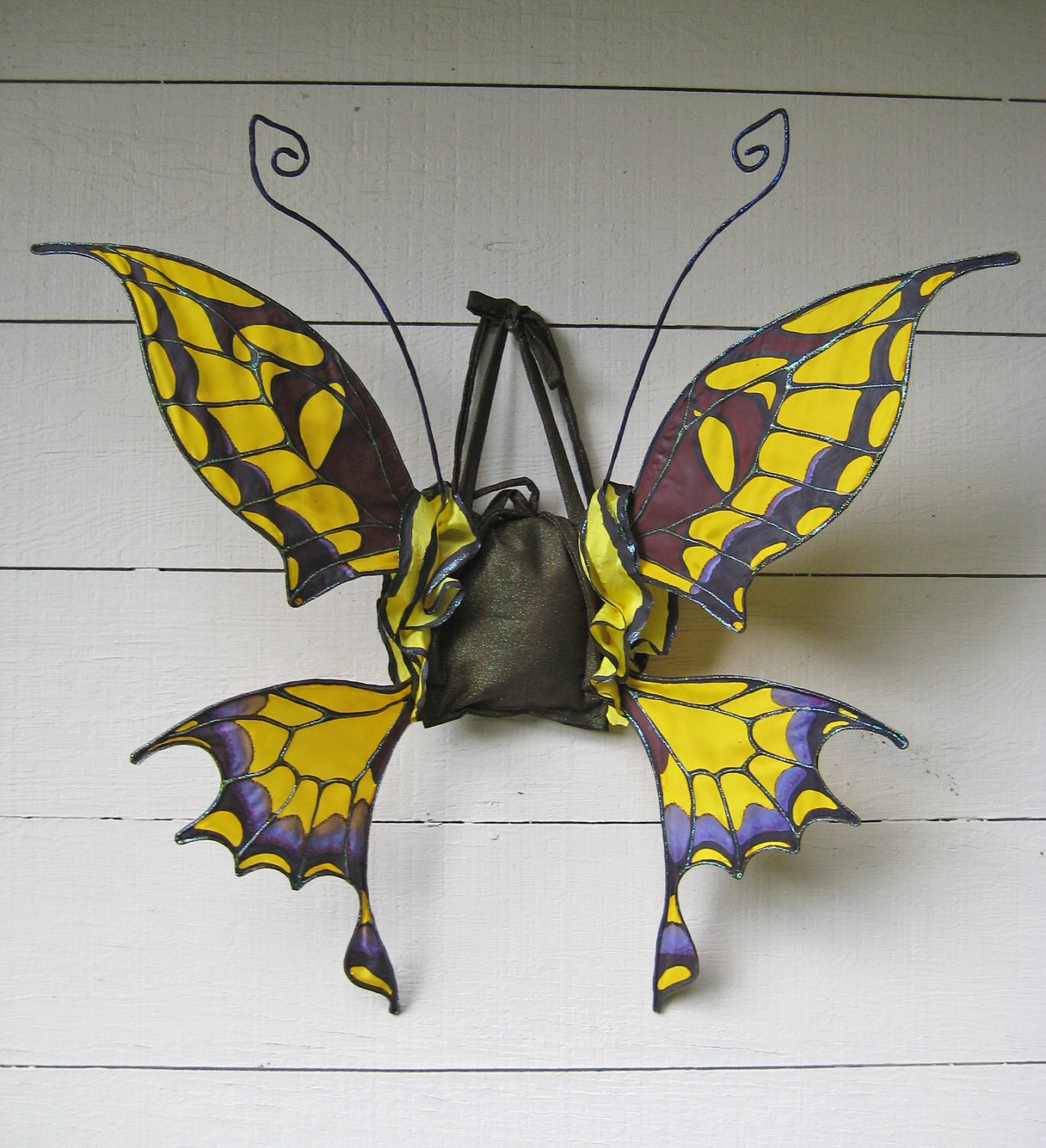Silk Swallowtail Butterfly Wings
