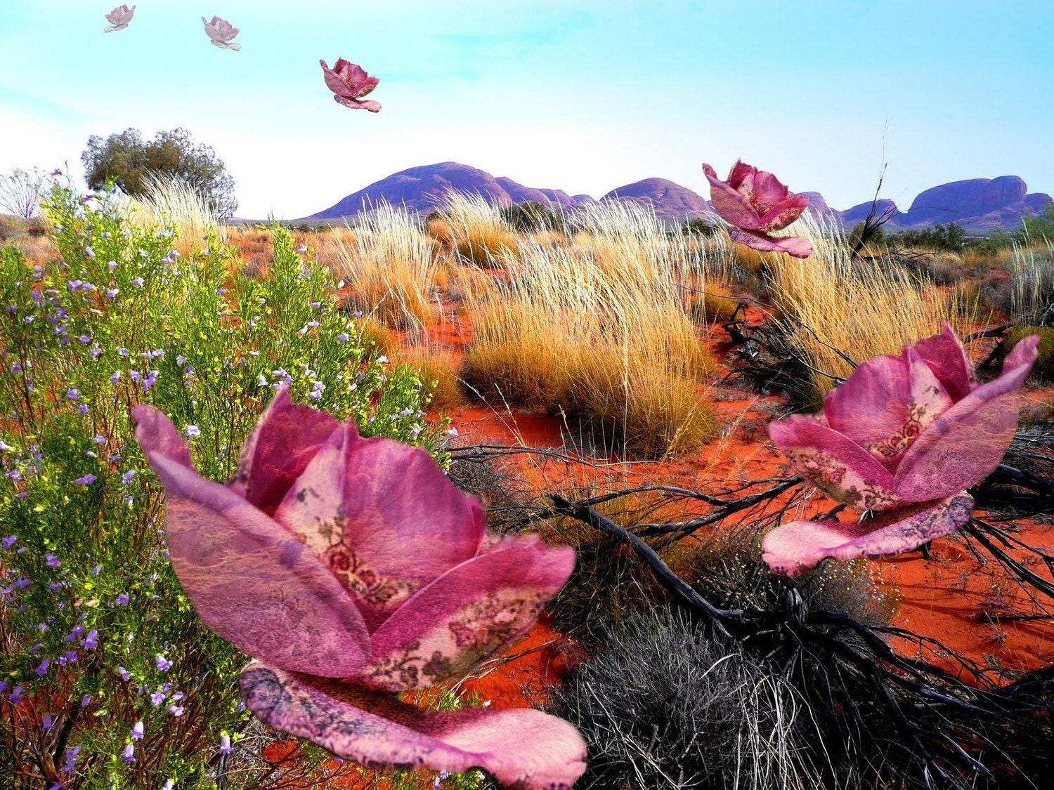 Desert Breeze - Limited Edition Archival Giclee Photgraphic Fine Art Print