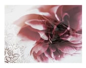A Winters Still Life II -  Limited Edition Archival Giclee Photgraphic Fine Art Print