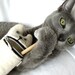 Pencil case,  Eyeglass case, Hungry cat, white wool