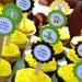 Monkey Party Pack - Set of 12