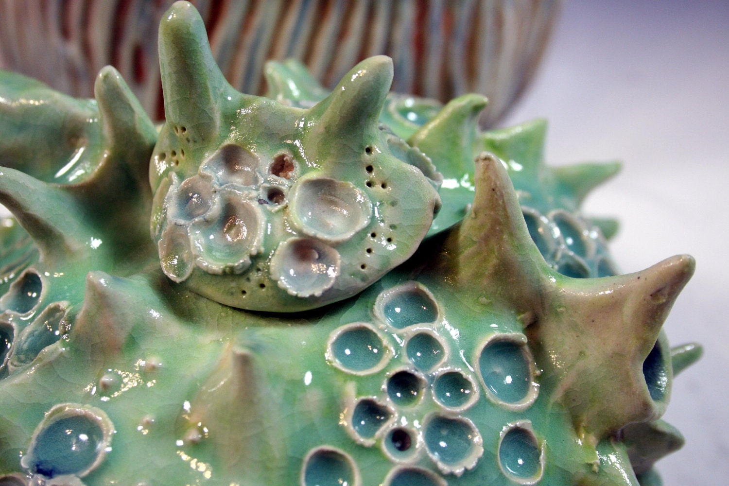 Coral Reef  Sea Shell inspired Ceramic Teapot Ocean Art with Brain Coral Stand