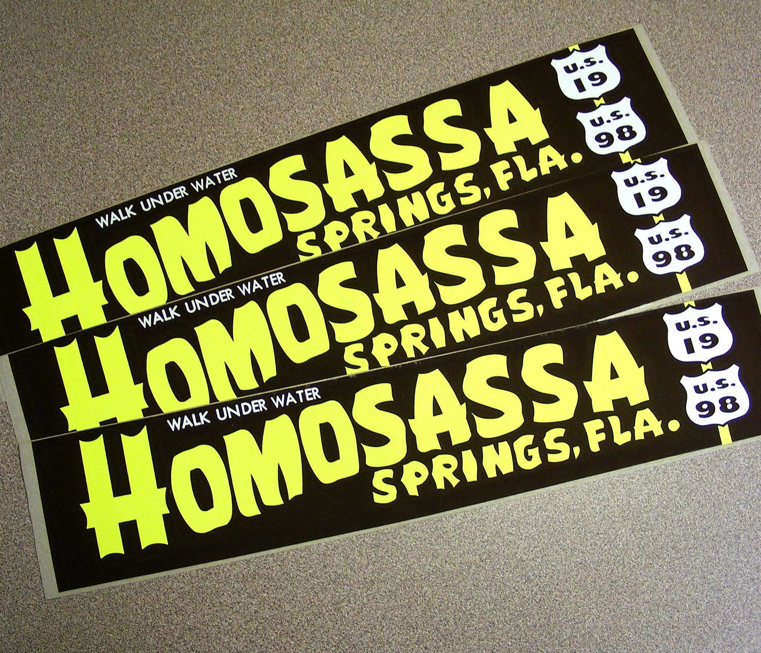 Homosassa Springs Florida bumper sticker