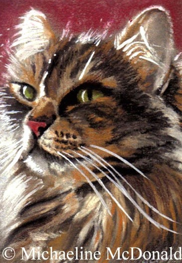 Cat Portrait fine art print by Michaeline 5x7 inches