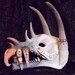 Dragon Skull