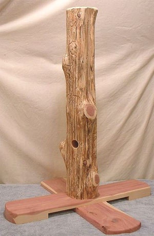 cat scratcher