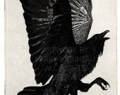 Raven (raven, phoenix, crow) Series. The Three Legged Birds- Sanzuwu, Yatagarasu, and Samjok-o Aquatint etching 5 inch x 7 inch 2011