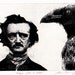 LAST ONE left in edition -Raven (crow, bird, Edgar Allan Poe) Series. Edgar Gets An Idea - Etching, limited edition. 5 inch x 7 inch 2010