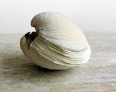 Book of the Sea - Hand stitched Clamshell Book Sculpture - Blank Journal