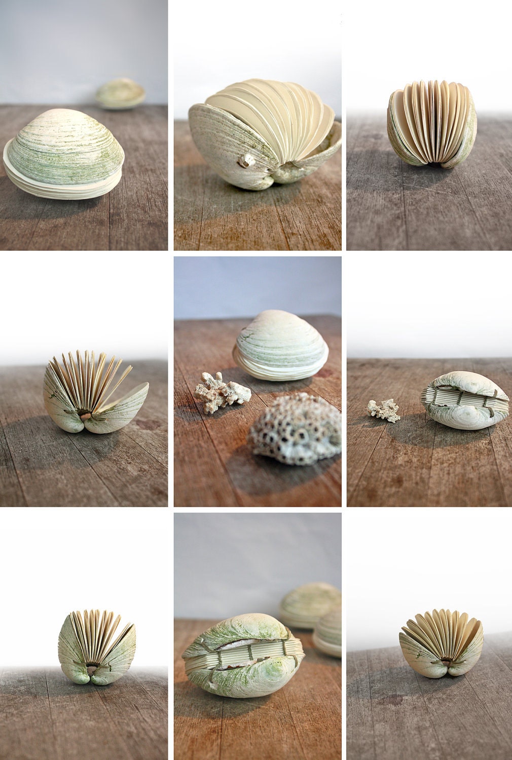 Offering No. 95 - Handstitched Clamshell Book Sculpture