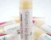 4.5g Lip Balm - Calypso Lip Balm - Coconut and Lime
