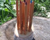 Birch Branch Pencil Holder for Large Colored Pencils