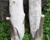 Birch Branch Pair of Rustic Hooks  Woodland Natural Decor