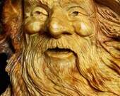 Gabby the Wood Spirit Elf Wizard carved in a pine knot
