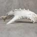 Deer Antler Fish Art Carving Fantasy Christmas Gift for Dad on etsy carved by Gary Burns the Treewiz, Handmade