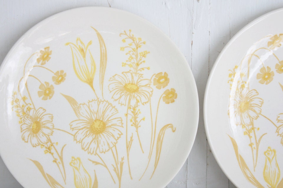 Vintage Yellow Daisy Dessert Plates: Retro Bread and Butter Plates, Royal USA China Enchanted Garden Pattern Plates, Set of 2