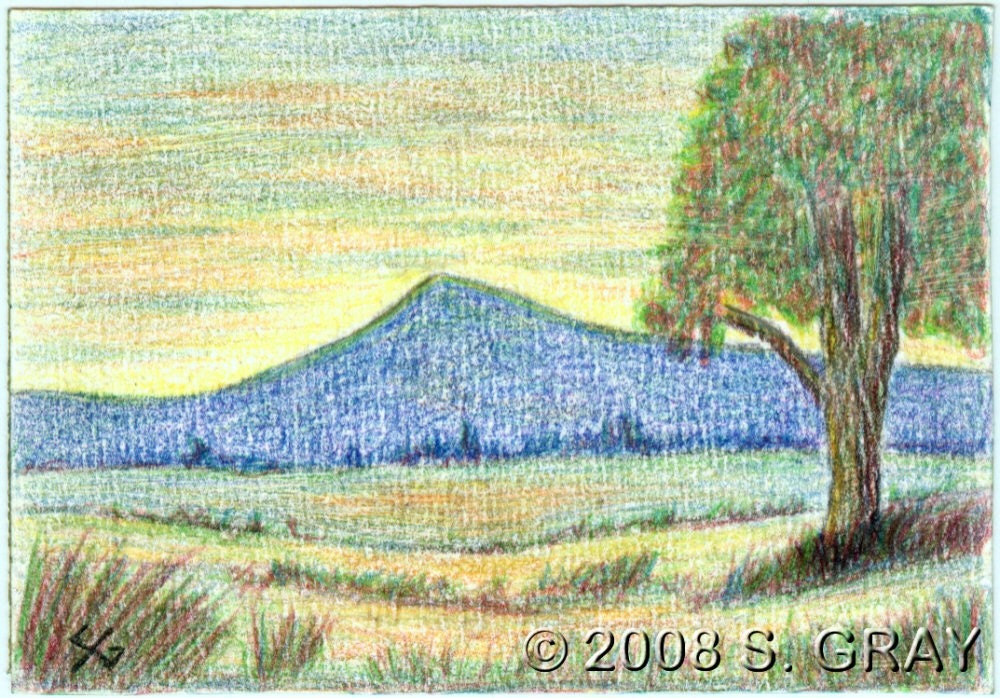 ACEO Mountain Sunset original colored pencil drawing tree fields nature landscape art nitelvr