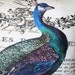 Pillow Cover...peacock pillow decorative cotton burlap pillows