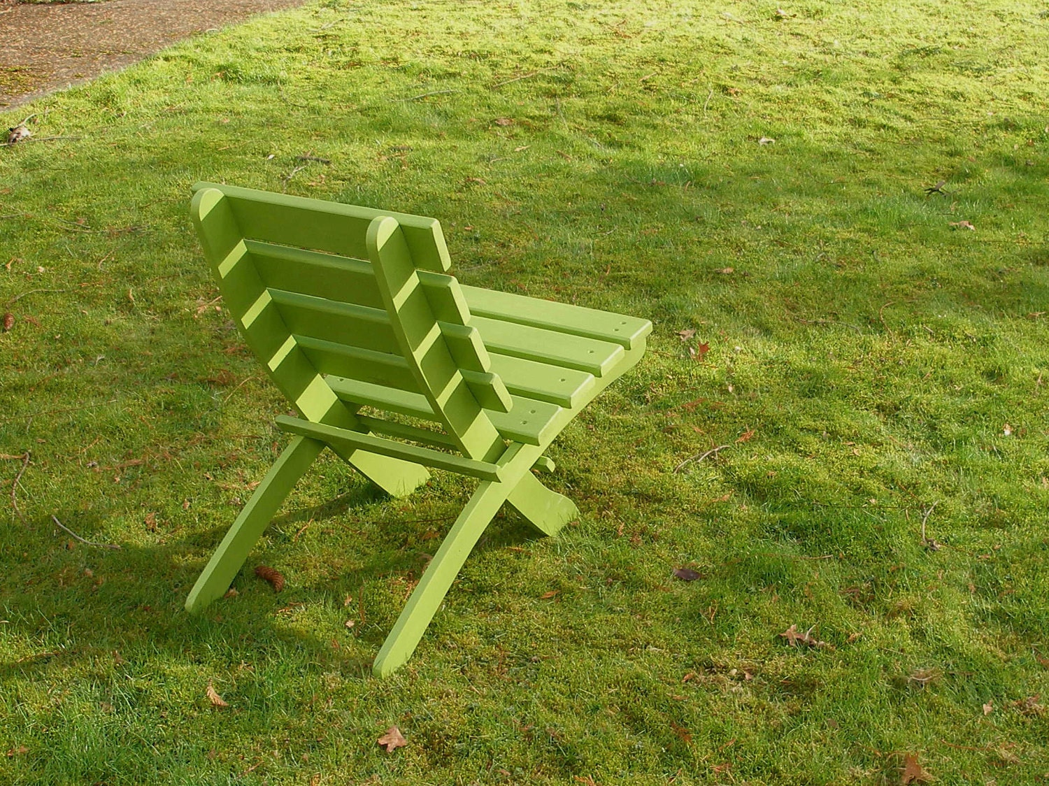Comfy Chair for Home & Garden (color: Asparagus Green)