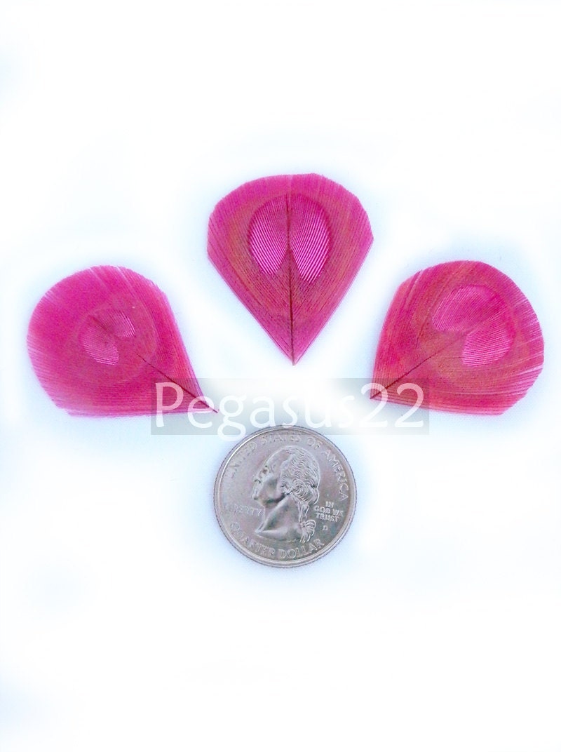 CANDY PINK Peacock Feather Eyes Trimmed -  Used for appliques, wedding invitations, hats, earrings, and fascinators  (12 PIECES)(Small)