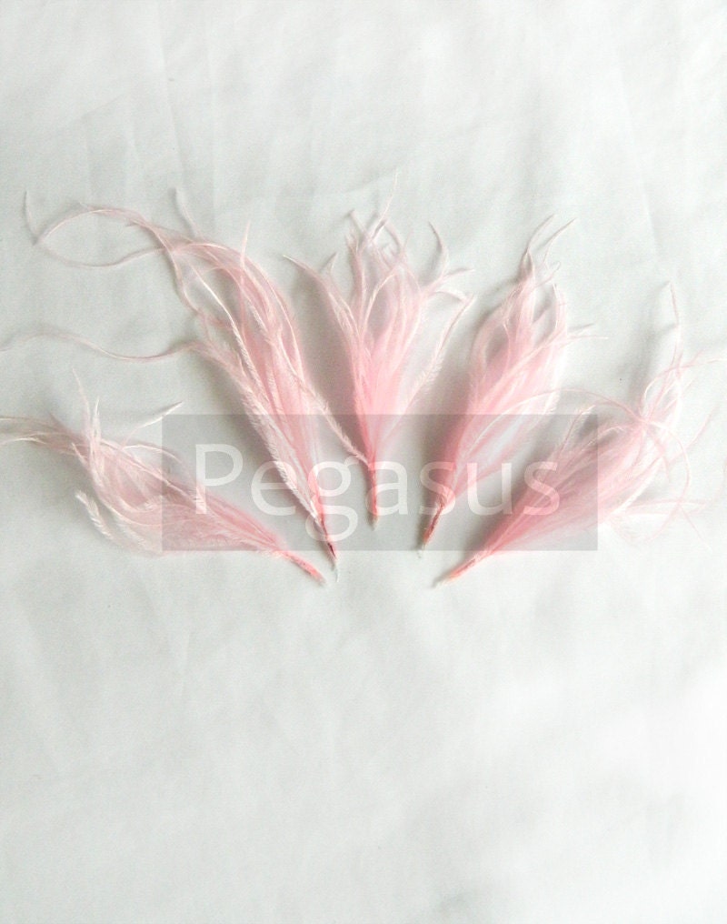 BALLERINA PINK Ostrich Feather Sprays. Cruelty free DIY feathers for hair fascinators, boutonnieres and millinery (5 Sprays)